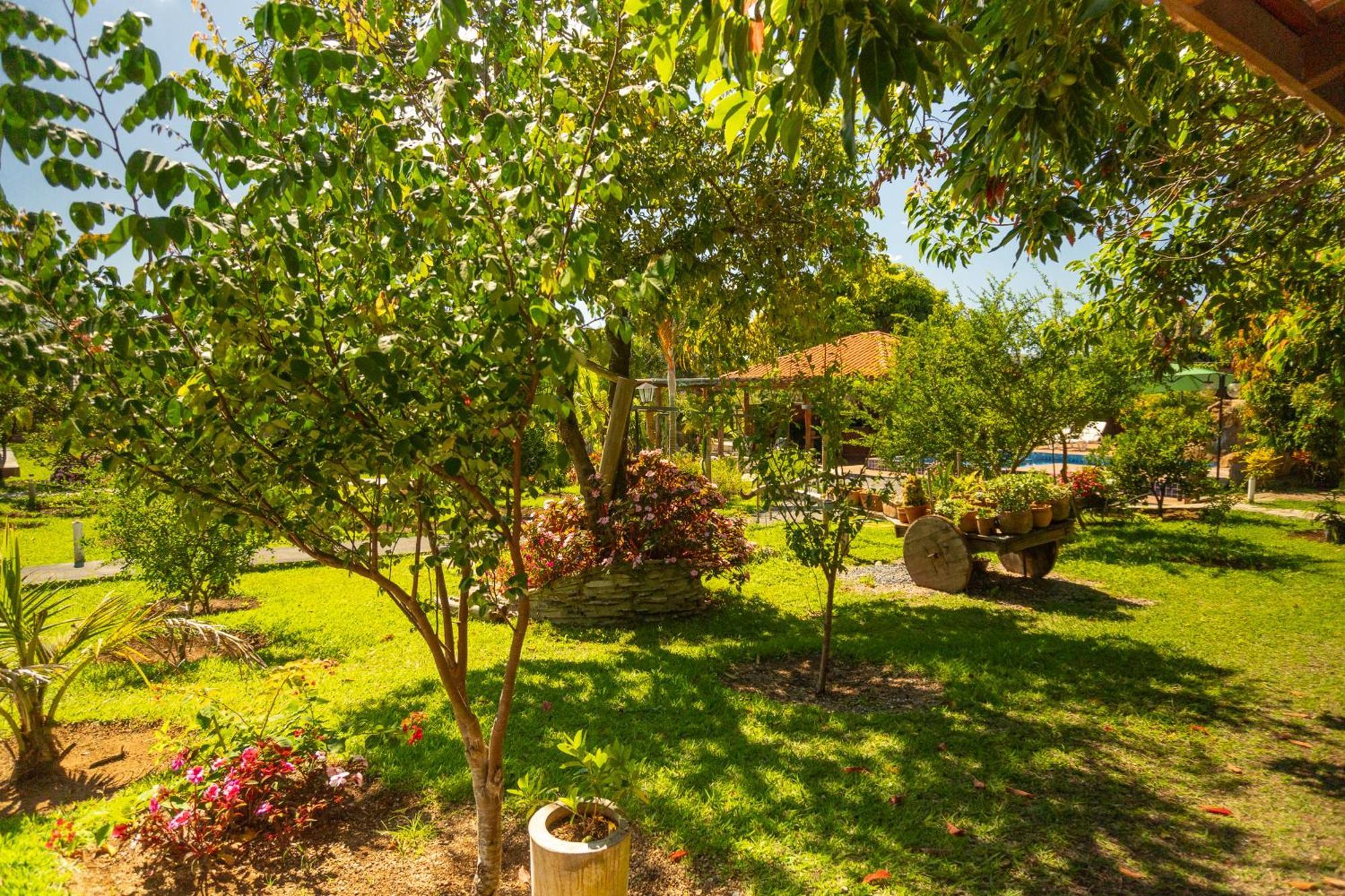 Alto Paraíso de Goiás Vila Da Mata Chales מראה חיצוני תמונה